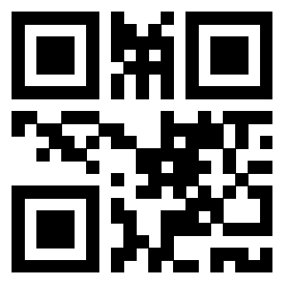 Il Qr Code di 3917030913