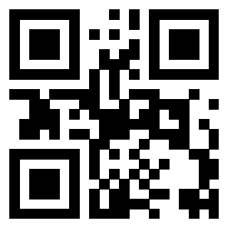 Il Qr Code di 3917041844