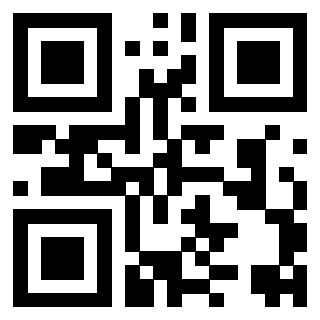 QrCode di 3917041907