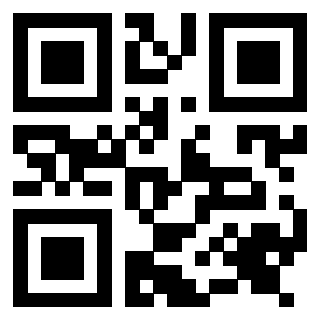 QrCode di 3917041988