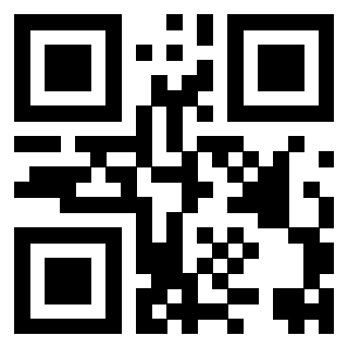 Il Qr Code di 3917042028