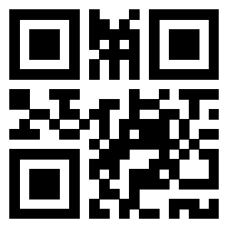 Il Qr Code di 3917042061