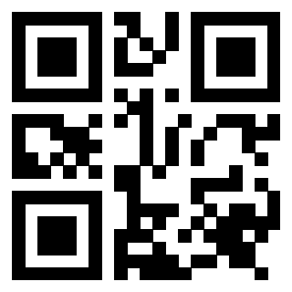 Il Qr Code di 3917042066