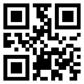 Il Qr Code di 3917042132
