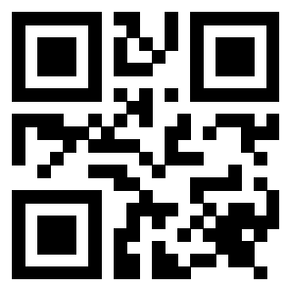 Il Qr Code di 3917042176