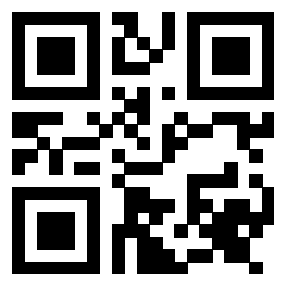 Il Qr Code di 3917042207