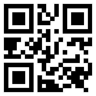 Il Qr Code di 3917042681