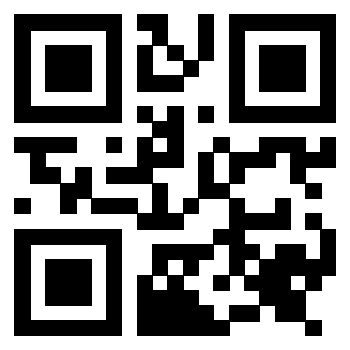 QrCode di 3917042765