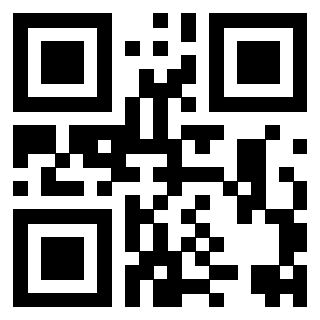 Il Qr Code di 3917074904