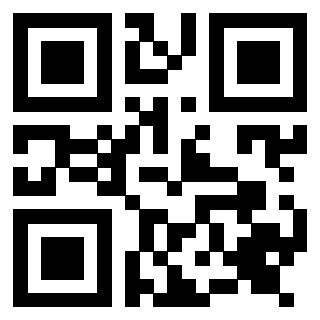 Il Qr Code di 3917074979