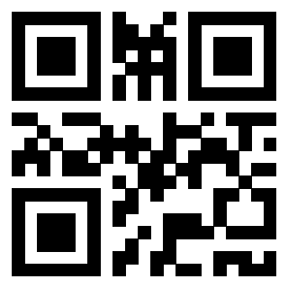 Il Qr Code di 3917075048