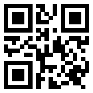 Il Qr Code di 3917075103