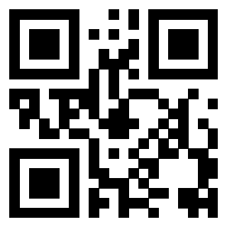 QrCode di 3917075155