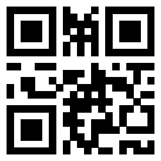 Il Qr Code di 3917075213