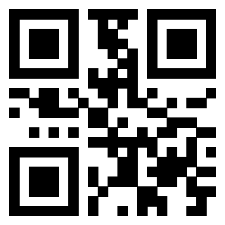 Il Qr Code di 3917075277