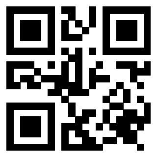 Il Qr Code di 3917075333