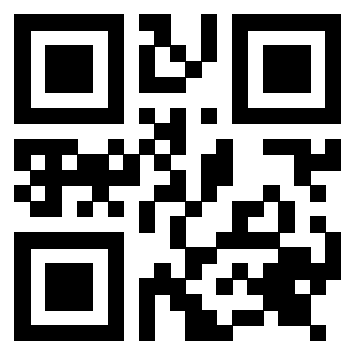 Il Qr Code di 3917075474