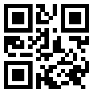 Il Qr Code di 3917075484
