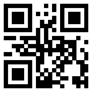 Il Qr Code di 3917075841