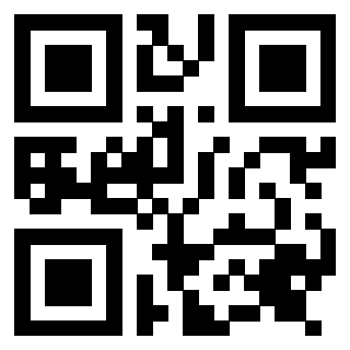 Il Qr Code di 3917079064
