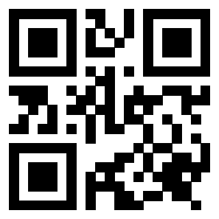 Il Qr Code di 3917079271