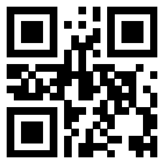 Il Qr Code di 3917079607