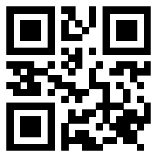 Il Qr Code di 3917079675