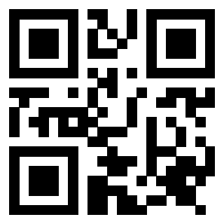 Il Qr Code di 3917079697