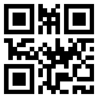 Il Qr Code di 3917079864