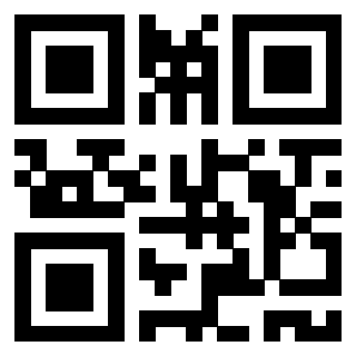 Il Qr Code di 3917080013