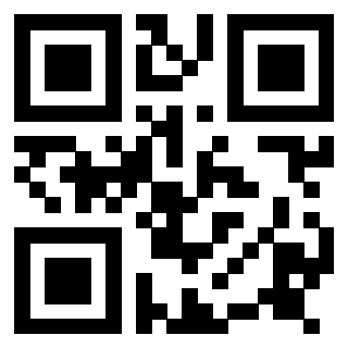 Il Qr Code di 3917107378