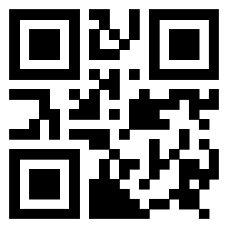Il Qr Code di 3917107847