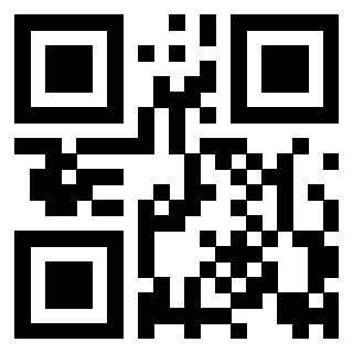 QrCode di 3917108029