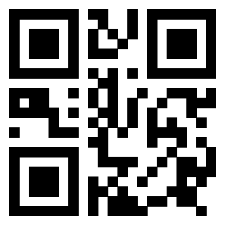 Il Qr Code di 3917108072