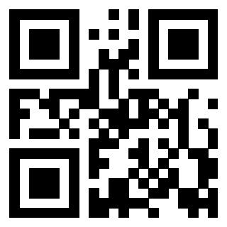 Il Qr Code di 3917108096