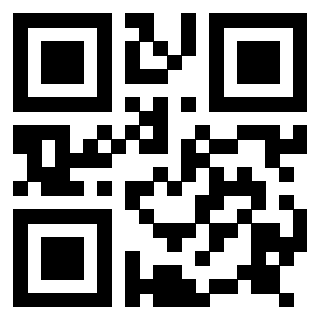 Il Qr Code di 3917108259