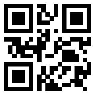 Il Qr Code di 3917145251