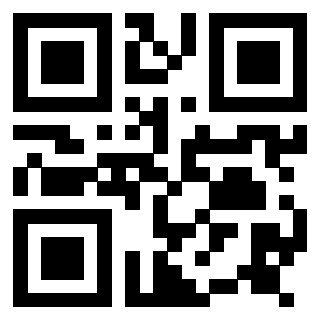 Il Qr Code di 3917145891
