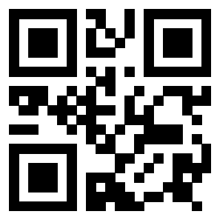 Il Qr Code di 3917146058