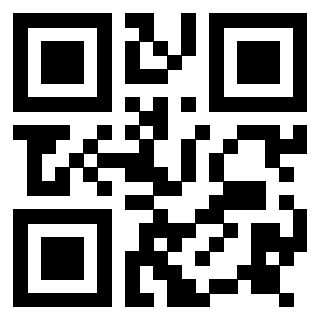 Il Qr Code di 3917146064
