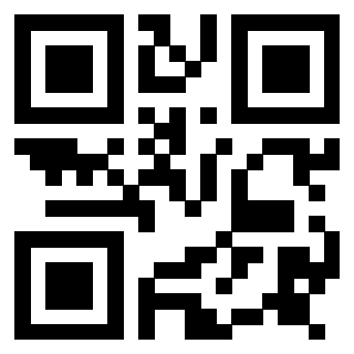 Il Qr Code di 3917146071