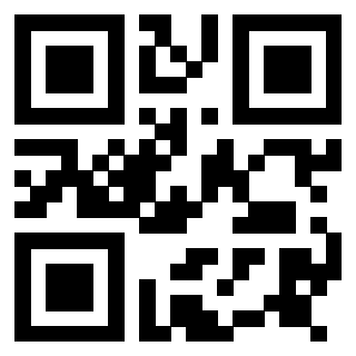 Il Qr Code di 3917146113