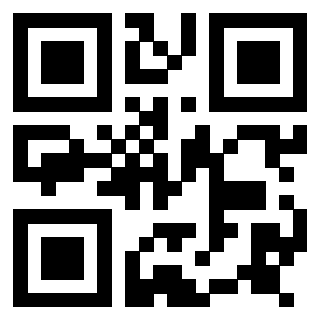 Il Qr Code di 3917146127