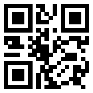 Il Qr Code di 3917146240