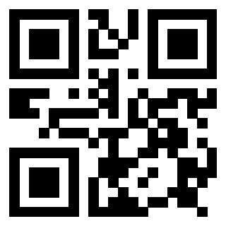 Il Qr Code di 3917172764