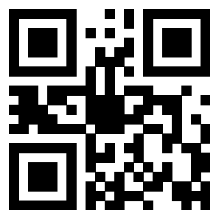 Il Qr Code di 3917172806