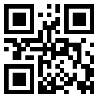 Il Qr Code di 3917172854