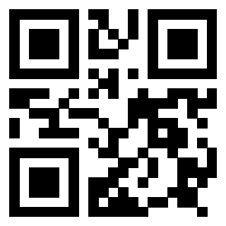 QrCode di 3917172871