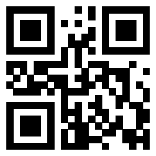 Il Qr Code di 3917172877