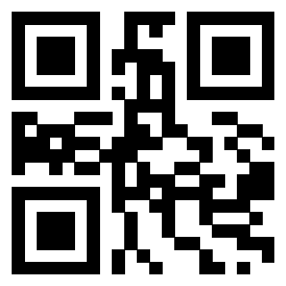Il Qr Code di 3917172887